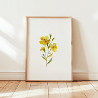 Flora No. 16 – Mornings Glory