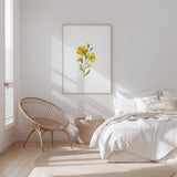 Flora No. 16 – Mornings Glory