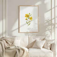Flora No. 16 – Mornings Glory