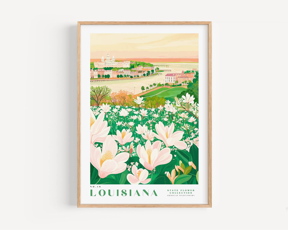 A framed illustration of a scenic landscape in Louisiana, featuring a field of white flowers and a cityscape in the background.