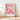 Atlanta Flower Market Poster - Posters - Flower Poster
