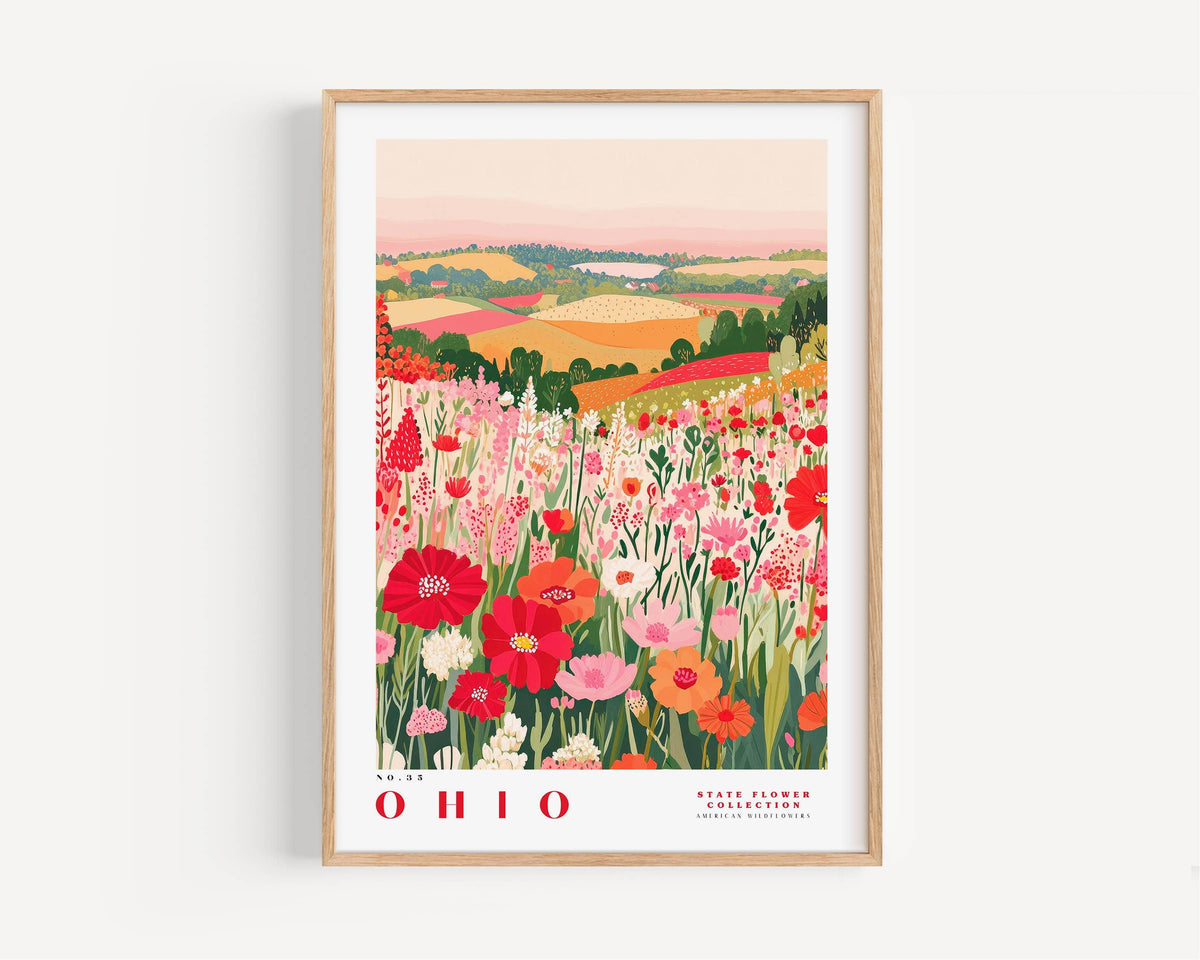 A framed illustration of a vibrant field of flowers, with the text "OHIO" prominently displayed.