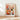 Barcelona Flower Market Poster - Posters - Flower Poster