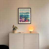a white cabinet with a framed picture of a colorful underwater scene hanging above it, and a small lamp on the cabinet below the picture.