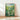 Green Wildflower Poster - Poster - Flower Poster