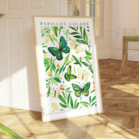 Watercolor Butterfly Poster - Poster - Enchanted Sights