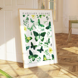 Watercolor Butterfly Poster - Poster - Enchanted Sights