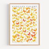 Watercolor Butterfly Poster - Poster - Enchanted Sights