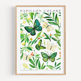 Watercolor Butterfly Poster - Poster - Enchanted Sights